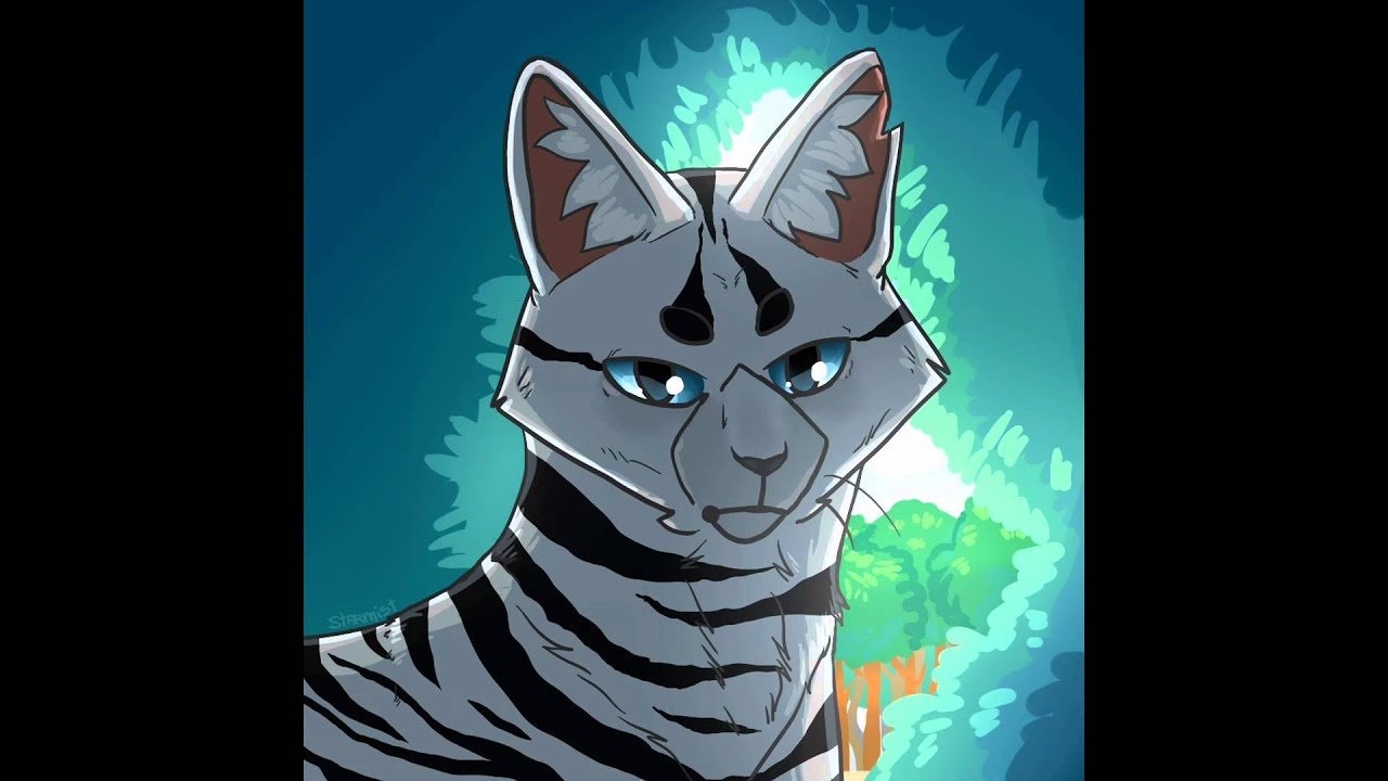 Картинки коты воители долгохвост для срисовки