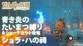 祠シリーズ ショラ ハの祠 行き方と場所 内部攻略 宝コンプリート ゴロンシティ ゼルダの伝説 ブレスオブザワイルド Youtube