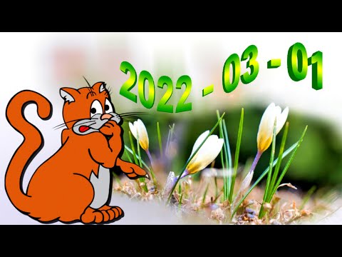 2022 - 03 - 01. Virtuali diena, pavasaris prideda naują gyvenimą ir grožį...