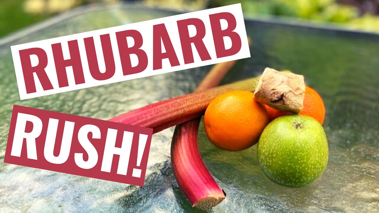 How to make Rhubarb Juice The Best Recipe! YouTube