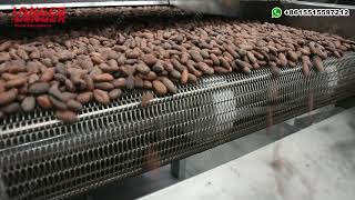 Automatic Cocoa Bean Processing Machine | LONGER
