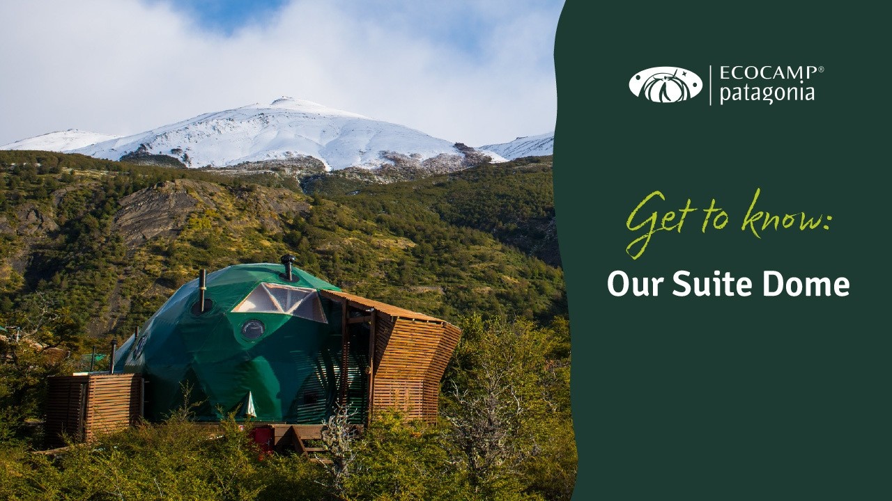 Добро пожаловать в наш купольный номер люкс!