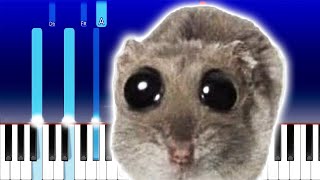 Sad Hamster Violin Meme (Piano Tutorial)