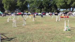 Stat Master Jumpers Del Valle 102016