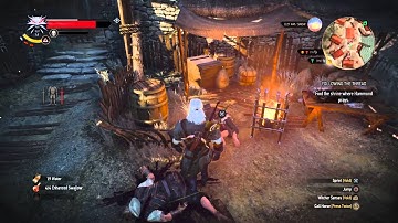 The Witcher 3: Wild Hunt Following the Thread - Hammond