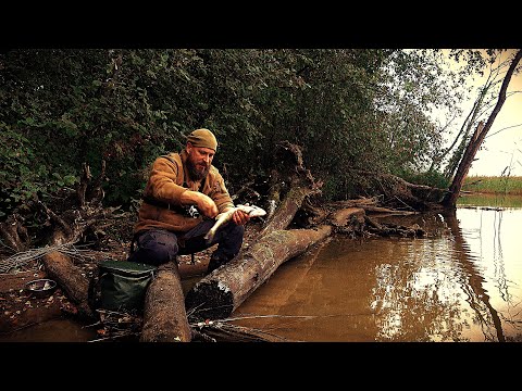 Overnight Fishing! Got a Giveaway! Someone's in the Woods! Fried Fish!