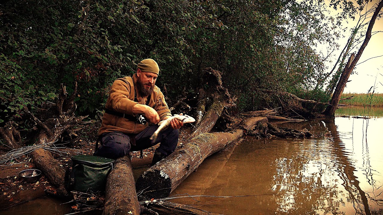 Рыбалка с Ночёвкой! Попал на Раздачу! Кто-то В Лесу! Жареная Рыбка!