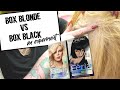 Box Blonde VS. Box Black: a hair color experiment