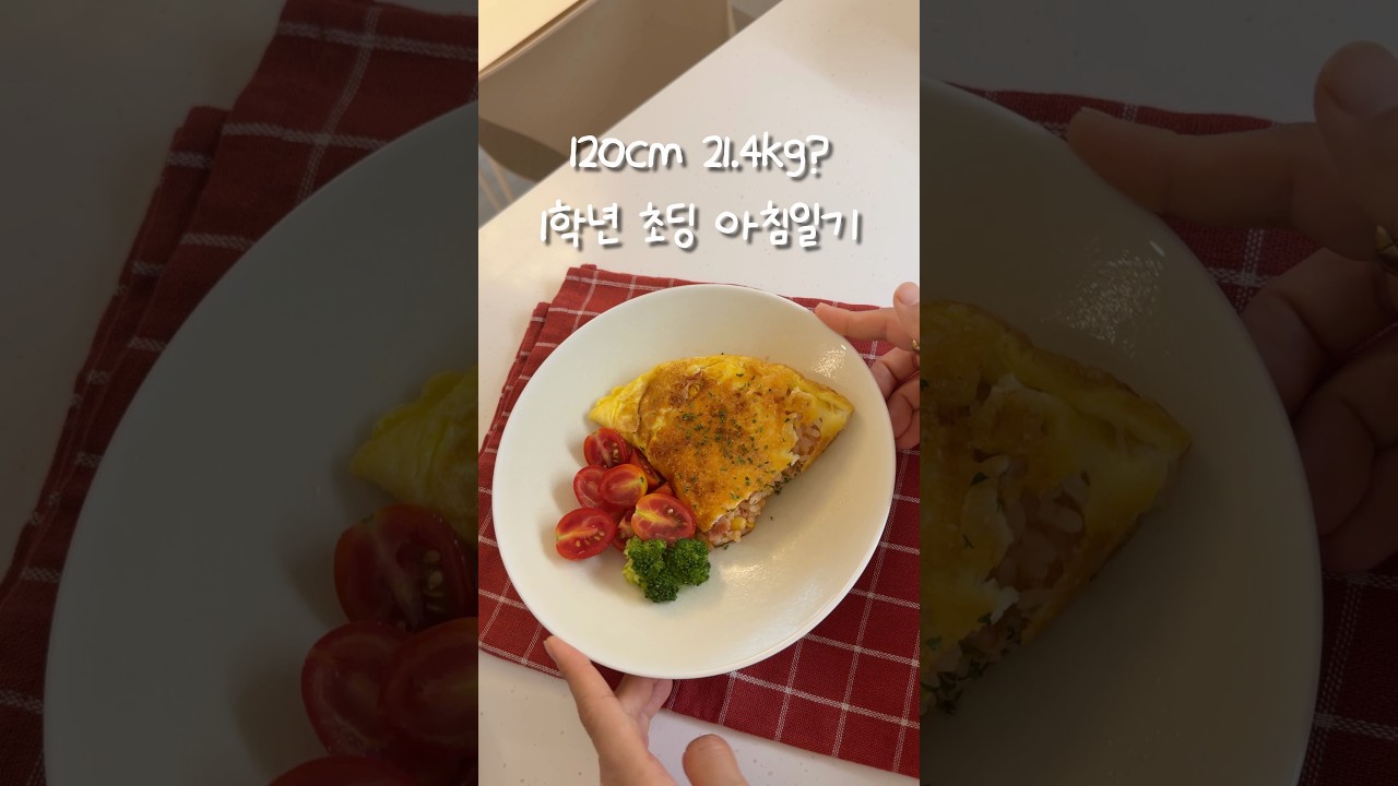 초딩 아침일기: 치즈 오므라이스 — 콩시루 Kongsiroo 레시피 썸네일
