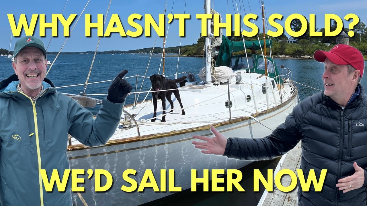 Why Isn’t Anyone Buying This? | A $25K Alberg 35 Bluewater Cruiser (We’d Sail Her Tomorrow)