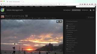 Alfresco Media Management - Working with Metadata