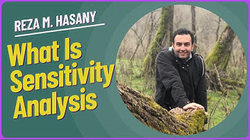Sensitivity Analysis Explained  Impact of Data Changes in Optimization