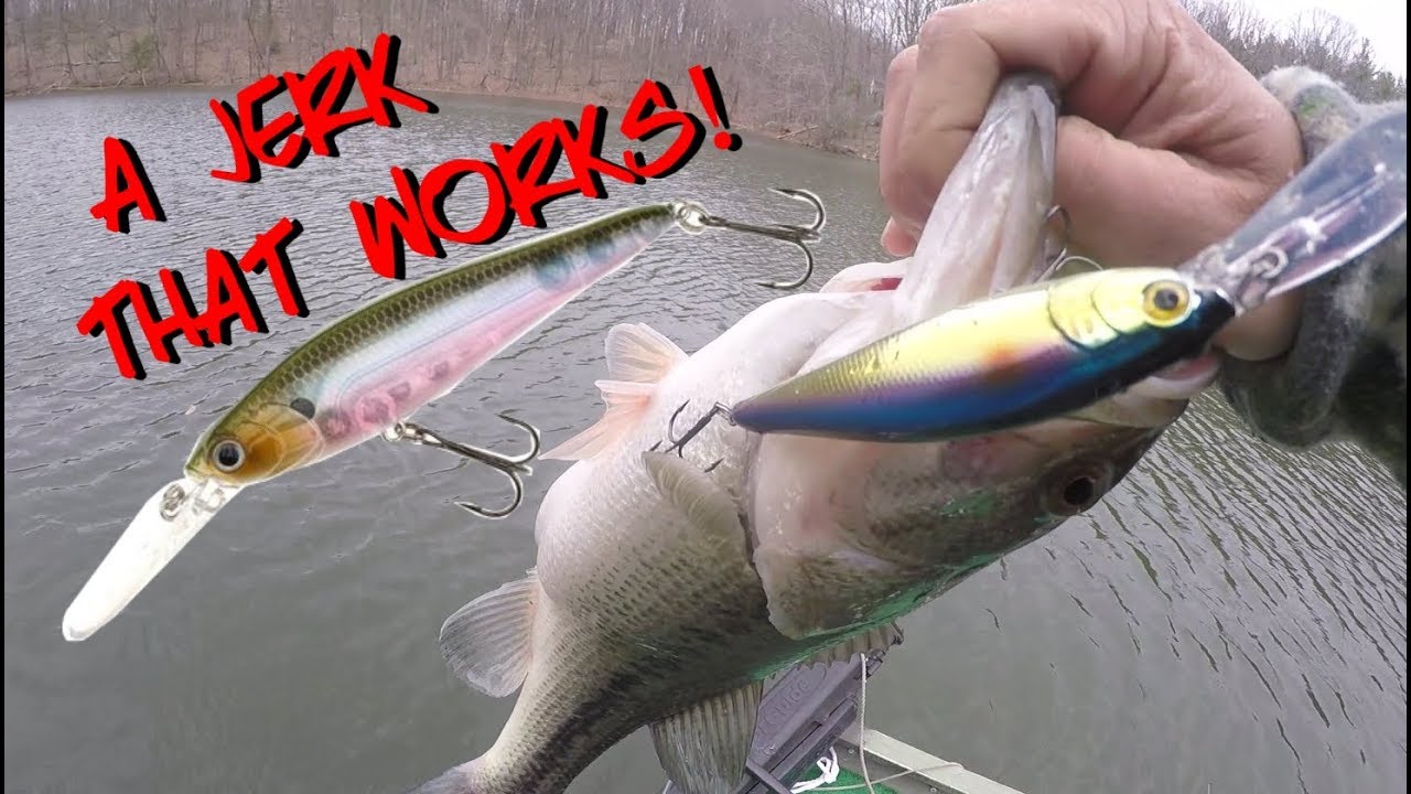 THIS JERKBAIT CRUSHES FISH!! And YOU CAN AFFORD IT 