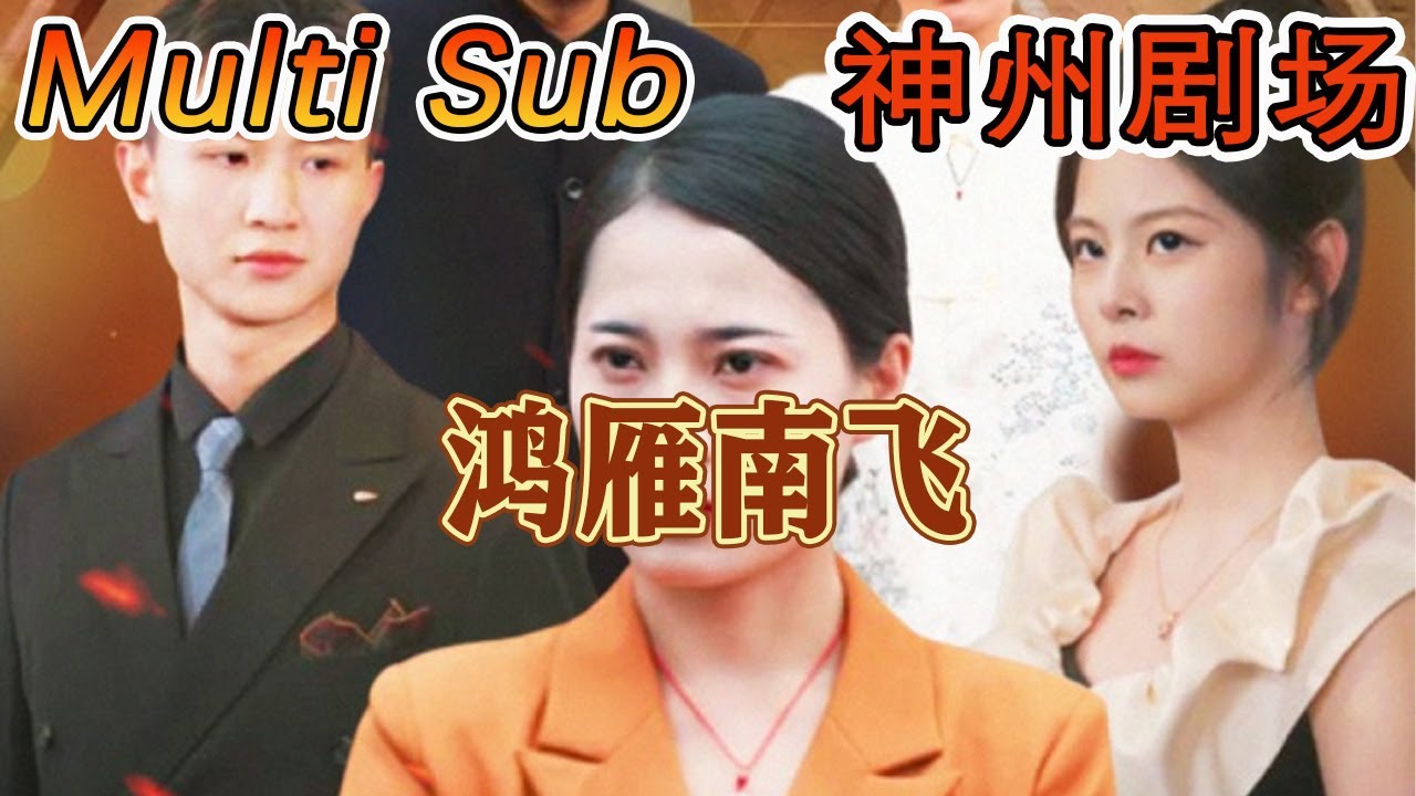 鸿雁南飞：都市重生逆袭传奇