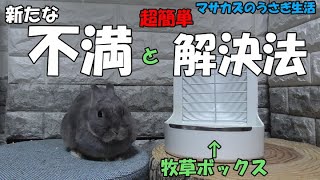 カインズで買ったうさぎの牧草入れ!新たに発見したデメリットと解決策　今後はどうする？