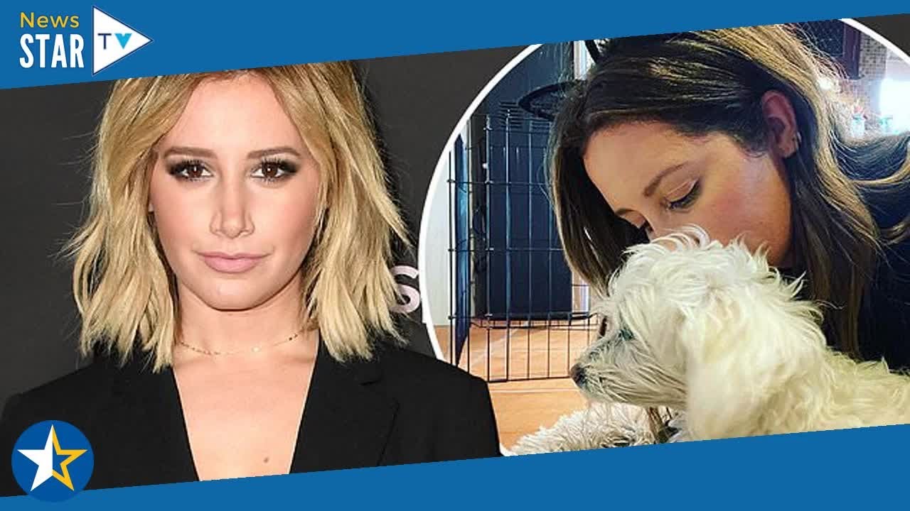 Ashley Tisdale mourns loss of her family's dog Blondie 269473 YouTube
