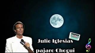 Julio Iglesias Pajaro Chogui|Music Audio🎧