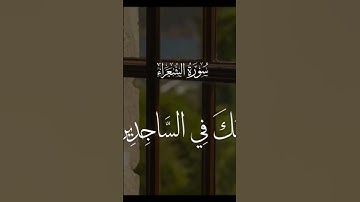 من سورة الشعراء اية 217-219