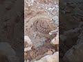 أميرة صحراء
