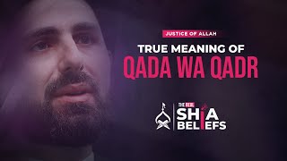 If everything is based on Qada wa Qadr, do we have Free Will? | ep 28 | The Real Shia Beliefs