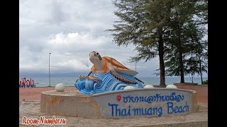 Beachcombing on Turtle Beach, Thailand: Episode Two
