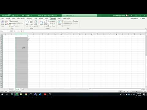 Change the format of date in date picker using exel VBA
