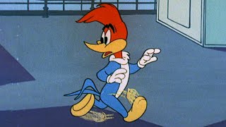 ¡Corre y escóndete, Woody! | 2.5 Horas de Episodios Clásicos | El Pájaro Loco by El Pájaro Loco 95,980 views 2 weeks ago 2 hours, 33 minutes