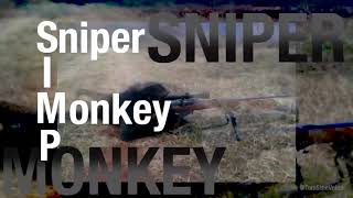 Yes, I'm a simp