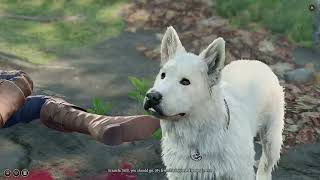 Baldurs Gate 3 - Its like herding cats!