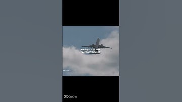 Minions vs. Reality #aviation #avgeek #aviationmemes #memes #funny