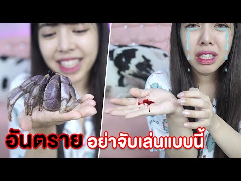 อันตราย จากสัตว์เลี้ยงตัวใหม่ ห้ามทำแบบนี้!!