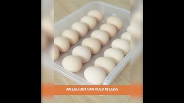 Auto Scrolling Egg Storage Holder