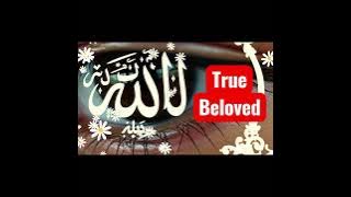 TRUE BELOVED Wiko Antoni poetrymusic (Radio version)