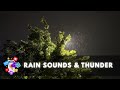Heavy Rain and Thunder Sounds for Sleeping - Black Screen | Thunderstorm Sleep Sounds #1