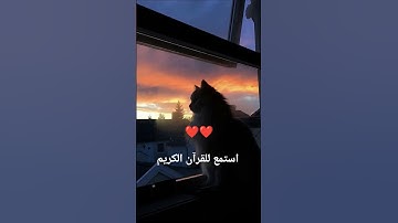اكتب شيء تؤجر عليه يوم القيامة 😴❤️#قران_كريم #اللهم_صل_وسلم_على_نبينا_محمد #ارح_قلبك #آيات_الرحمة