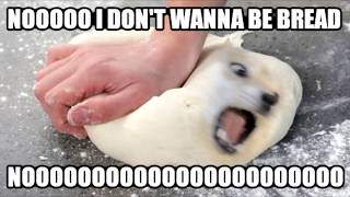 Nooooo i don't wanna be bread