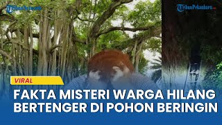 TERKUAK Fakta Warga Banten 3 Hari Hilang Misterius Ditemukan Bertengger di Pohon Beringin