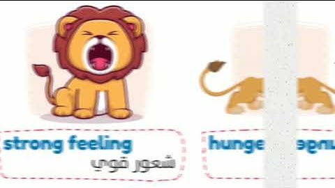 Connect plus 5 | unit 1 lesson 7