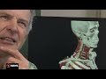'Huge sense of relief' over Kiwi medical cannabis regulation changes | 1News on TVNZ+