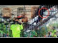 Live Mantap Aksi Murai Batu Aceh Kasta Milik Om Tanto Bongkar Materi Di Gantangan Part Ii Mp3 - Mp4 Download