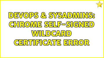 DevOps & SysAdmins: Chrome Self-Signed Wildcard Certificate Error
