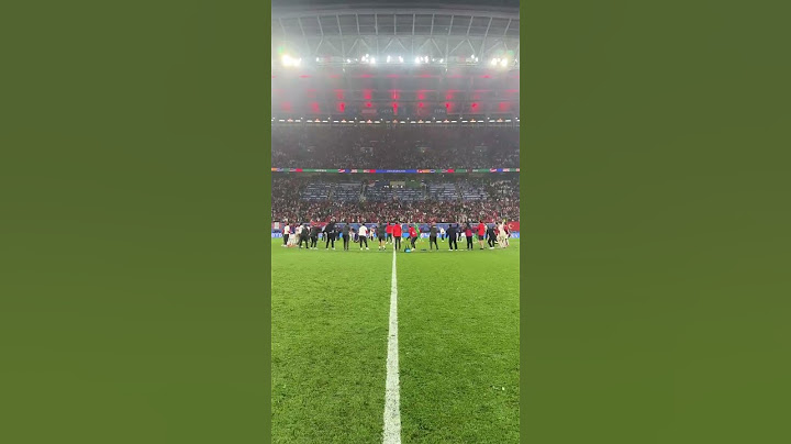La Turquie qualifiée à l'Euro dans une ambiance de dingue #football #euro2024 #turquie