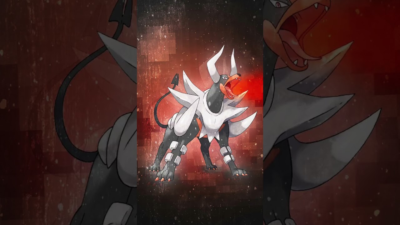 Top 5 Houndoom cards!! 