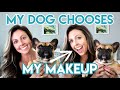 FRENCH BULLDOG CHOOSES MY MAKEUP