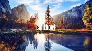 chill box4