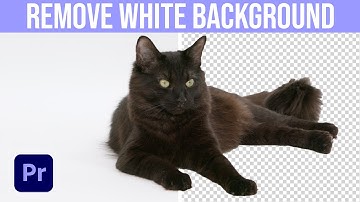 How To Remove A White Background In Premiere Pro