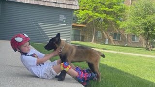 Cook County family says police killed their dog