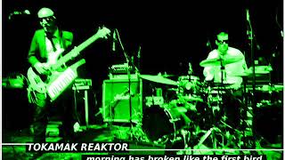 TOKAMAK REAKTOR - LIKE THE FIRST BIRD