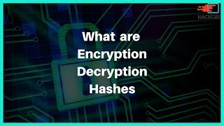 What are Encryption, Decryption and Hashes | Explained with practical