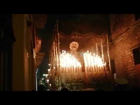 Real Hermandad y Cofradía de Nazarenos de Nuestro Padre Jesús de la Humildad en su Sentencia, Santísimo Cristo de la Yedra, Nuestra Señora de la Esperanza Coronada y Nuestra Señora del Rosario